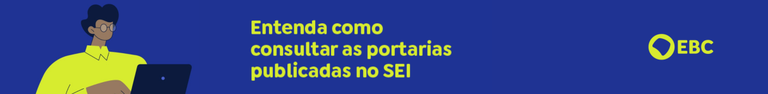Header SEI.png